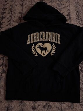 Abercrombie hoodie with glitter logo, Size  9/10